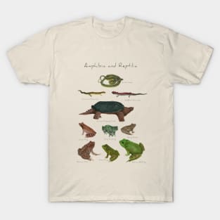 Amphibians and Reptiles T-Shirt